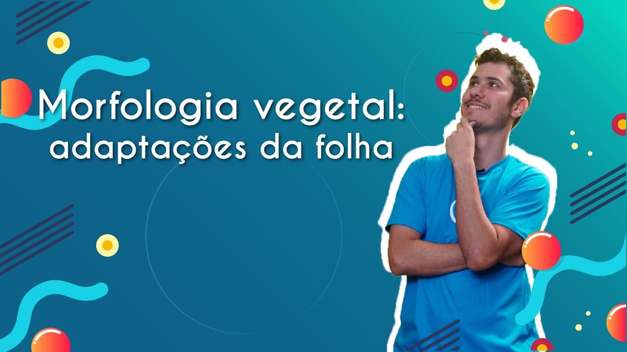 Thumbnail: Morfologia vegetal: adaptações da folha - Brasil Escola