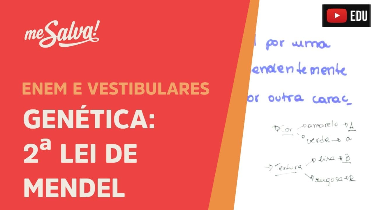 Thumbnail: Me Salva! GEN12 - Genética - Segunda Lei de Mendel
