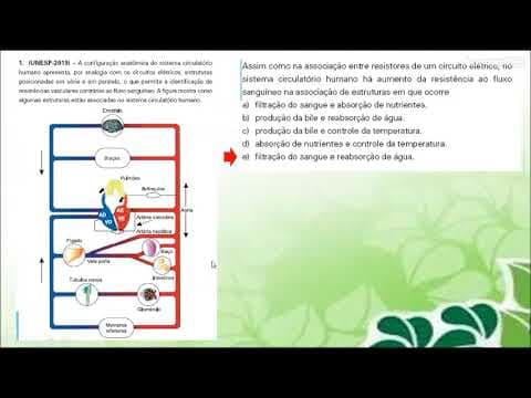 Thumbnail da aula: módulo 09  resolução de exercícios excreção humana