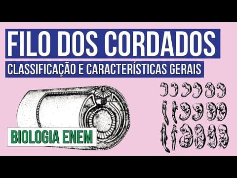 Thumbnail da aula: FILO DOS CORDADOS: classificação e características gerais | Biologia para o Enem | Cláudia Aguiar