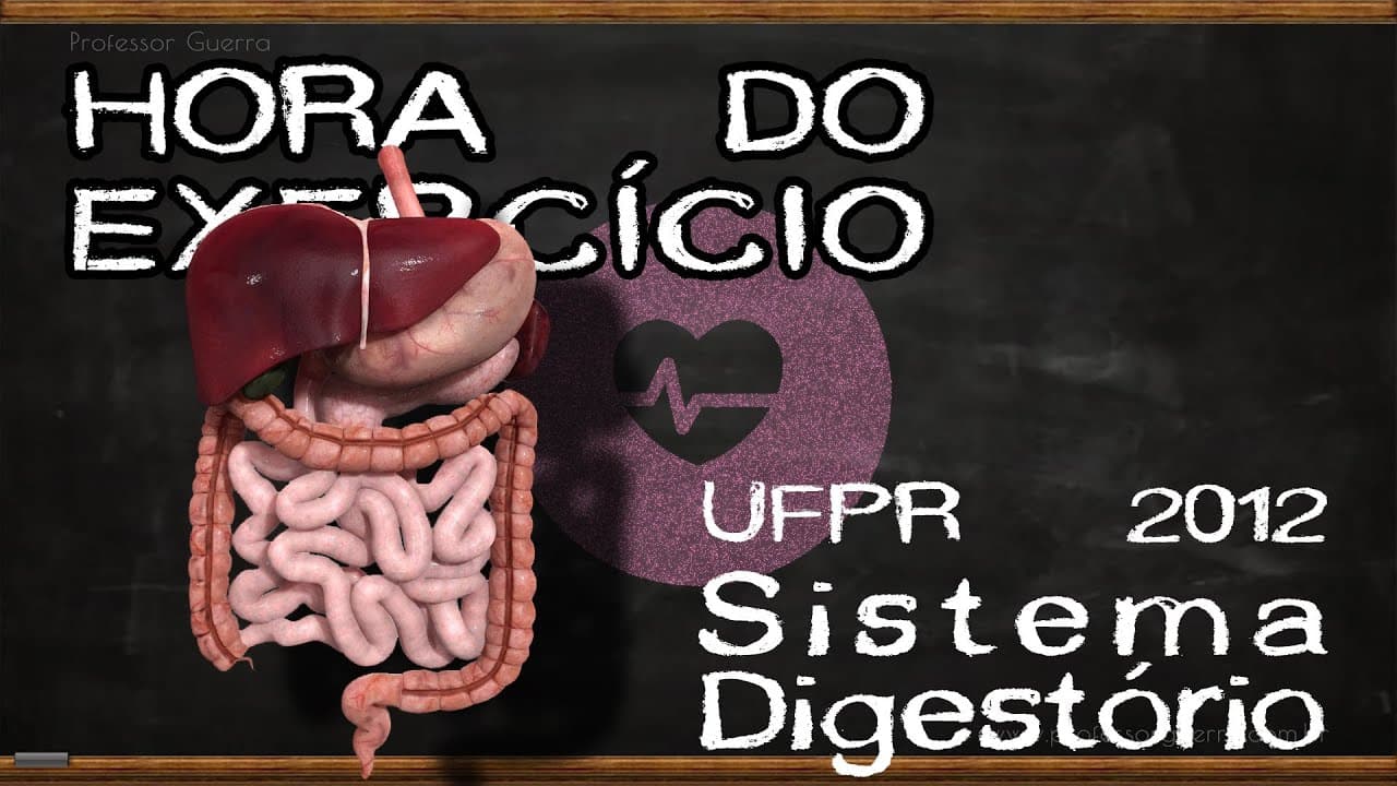 Thumbnail: Sistema digestório - UFPR 2012