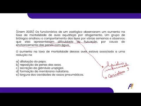 Thumbnail da aula: ENEM 2025 | Os funcionários de um zoológico observaram um aumento na taxa de mortalidade...