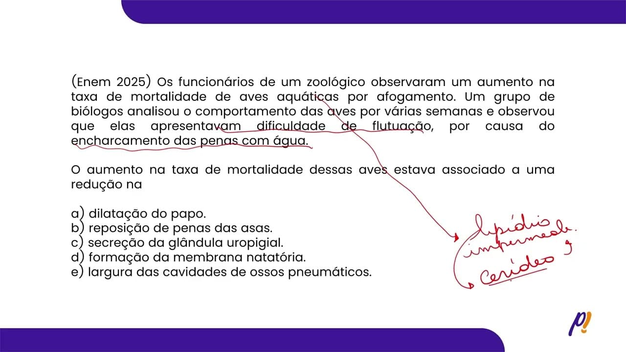 Thumbnail: ENEM 2025 | Os funcionários de um zoológico observaram um aumento na taxa de mortalidade...
