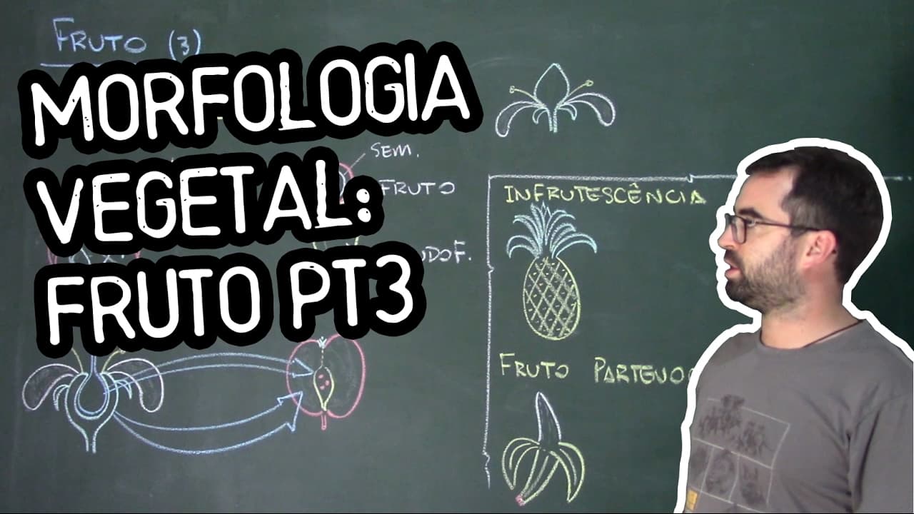 Thumbnail: Organologia do Fruto (Morfologia) pt3 - Aula 22: Botânica (Prof. Guilherme)