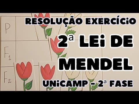 Thumbnail da aula: Questão Unicamp (Biologia) - GENÉTICA - Para determinada espécie de planta, a cor das ...