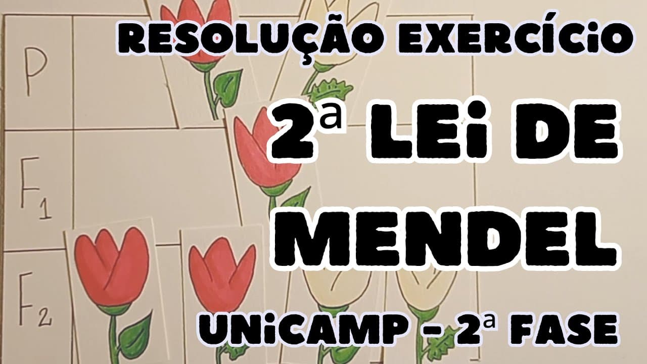 Thumbnail: Questão Unicamp (Biologia) - GENÉTICA - Para determinada espécie de planta, a cor das ...