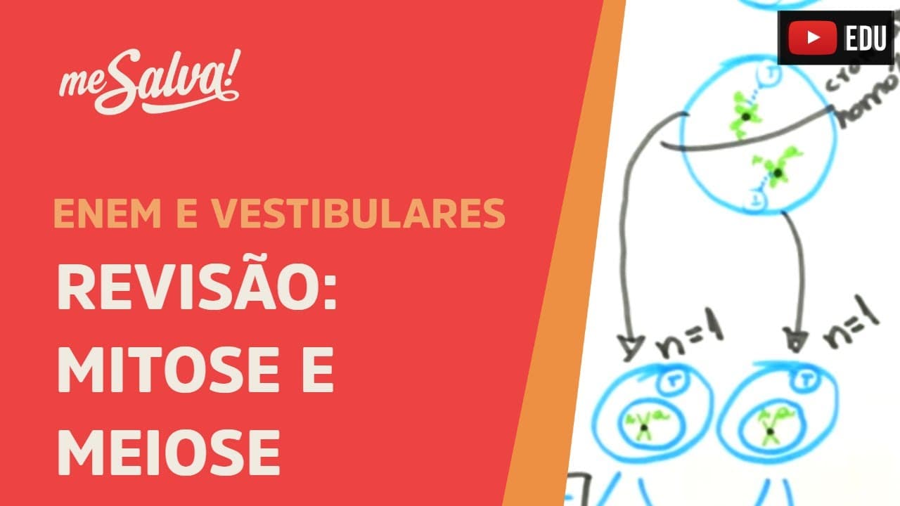 Thumbnail: Me Salva! CIT30 - Citologia - Revisão: Mitose e Meiose