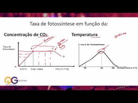 Thumbnail da aula: Biologia - Fatores que interferem com a fotossíntese  - ENEM