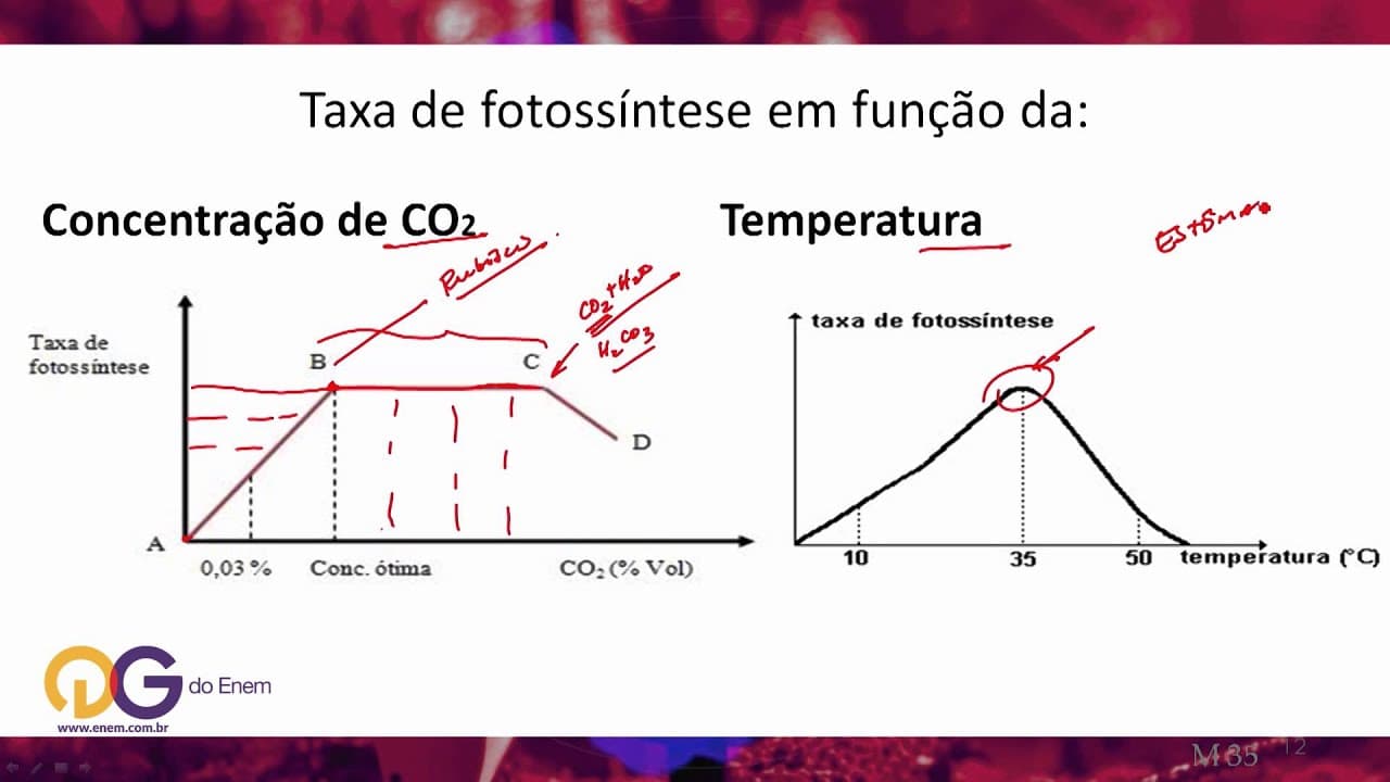 Thumbnail: Biologia - Fatores que interferem com a fotossíntese  - ENEM