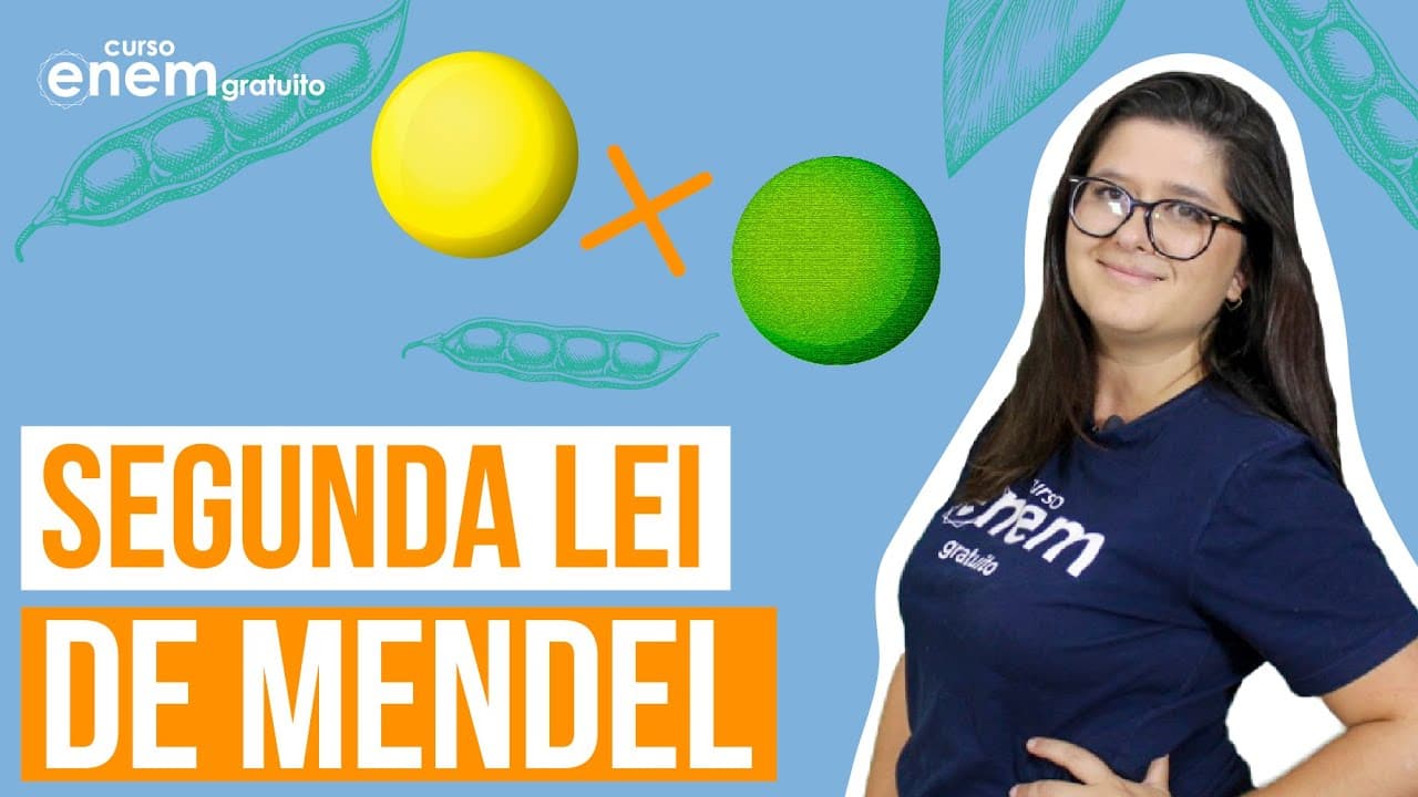 Thumbnail: SEGUNDA LEI DE MENDEL (GENÉTICA) | Resumo de Biologia para o Enem