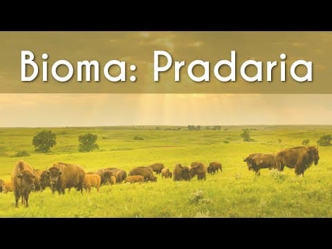 Thumbnail da aula: Bioma | Pradaria - Brasil Escola
