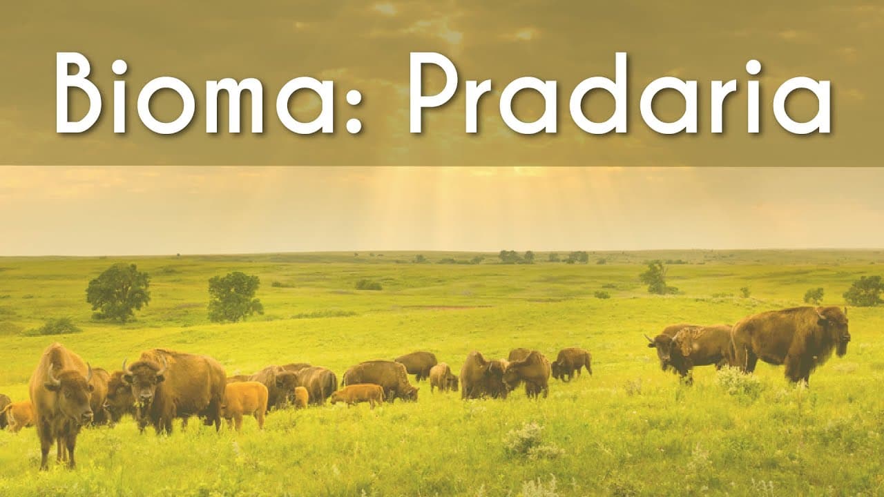 Thumbnail: Bioma | Pradaria - Brasil Escola