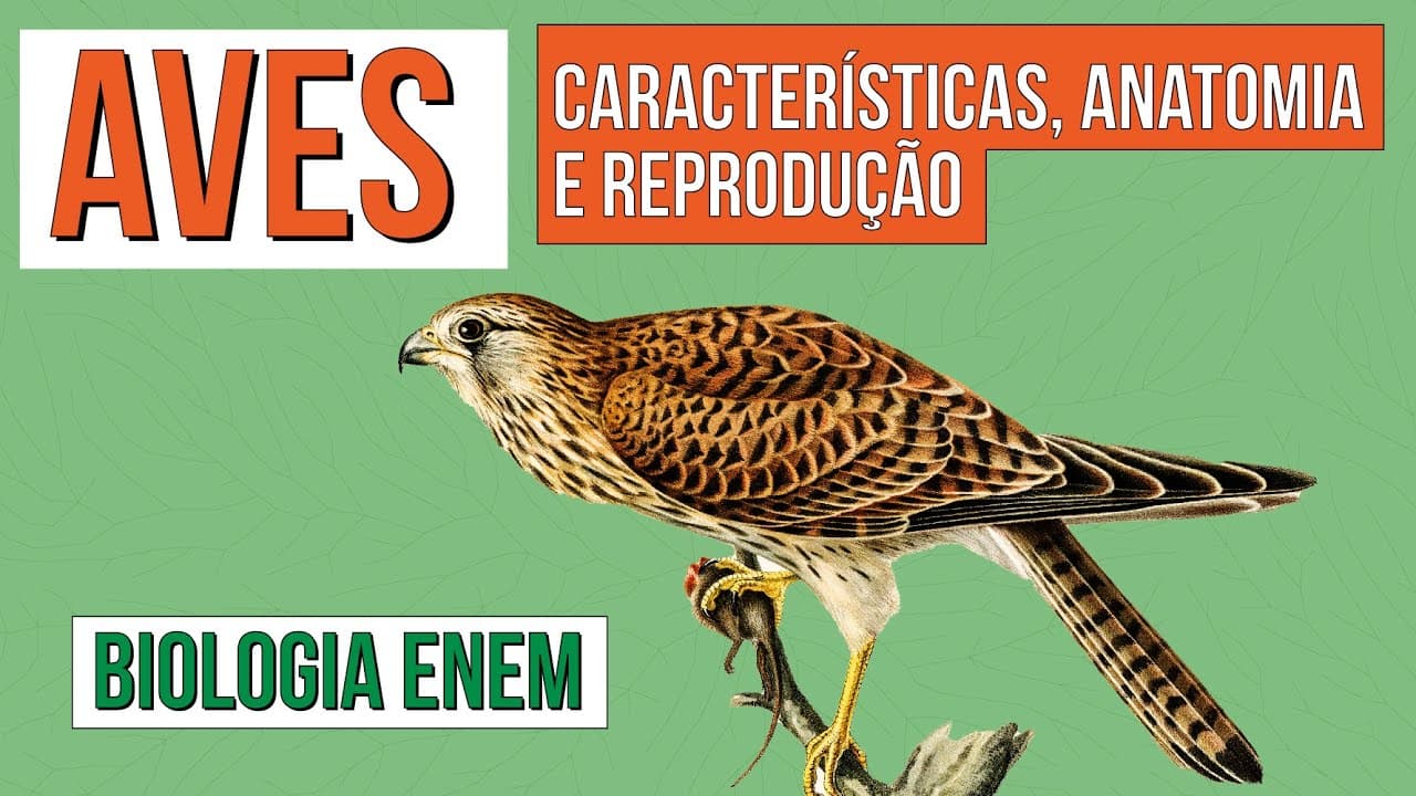 Thumbnail: AVES: características, anatomia e reprodução | Biologia para o Enem | Cláudia de Souza Aguiar
