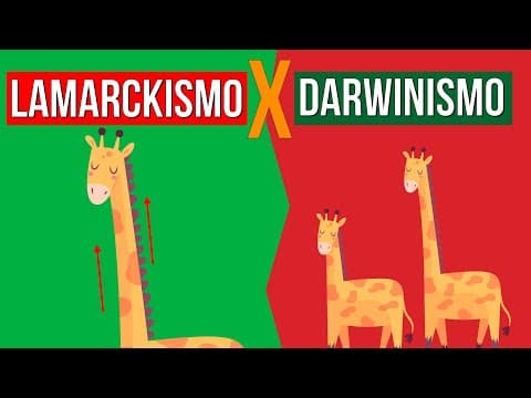 Thumbnail da aula: EVOLUÇÃO: Lamarckismo e Darwinismo | RESUMO DE BIOLOGIA PARA O ENEM
