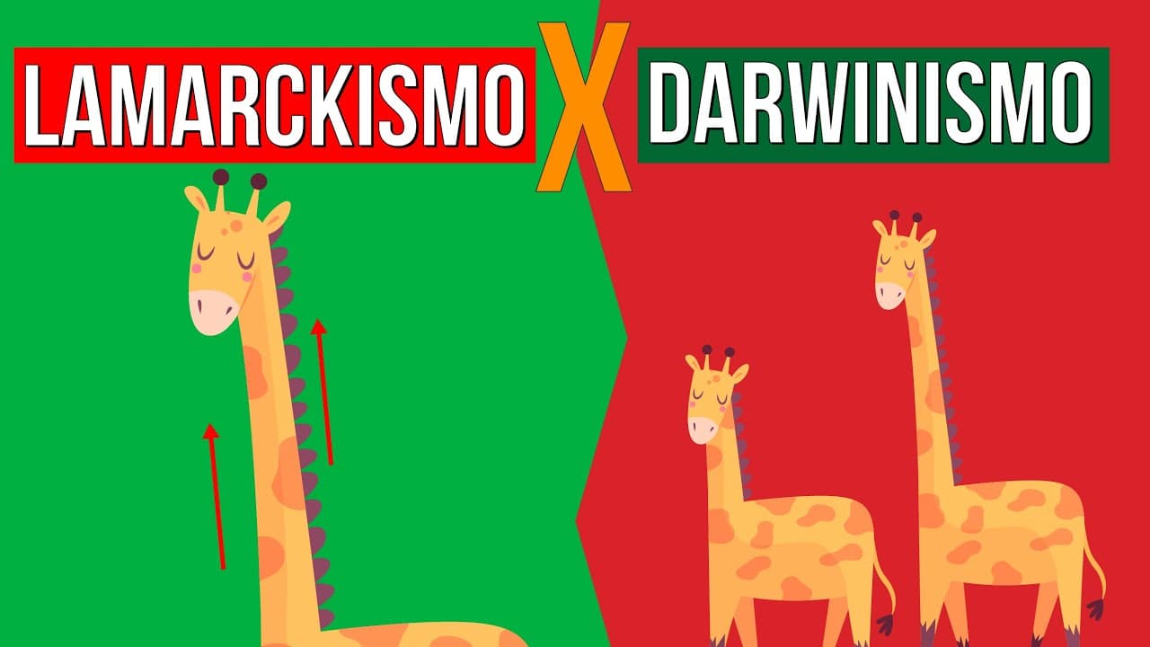 Thumbnail: EVOLUÇÃO: Lamarckismo e Darwinismo | RESUMO DE BIOLOGIA PARA O ENEM