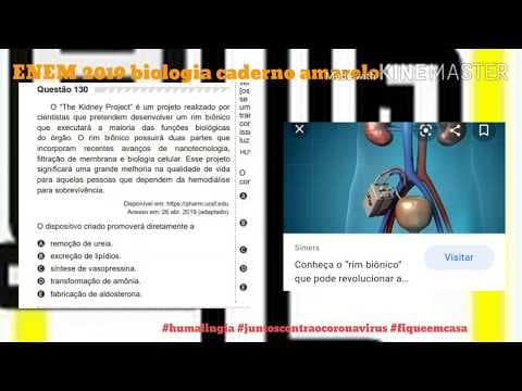 Thumbnail da aula: Questão 130 ENEM 2019 biologia caderno amarelo