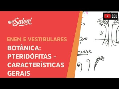 Thumbnail da aula: Me Salva! BOT05 - Botânica - Pteridófitas: características gerais