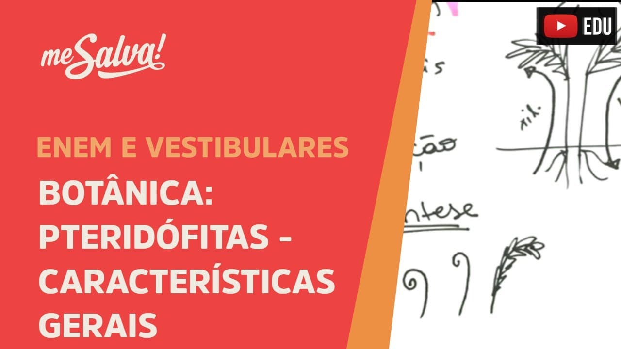 Thumbnail: Me Salva! BOT05 - Botânica - Pteridófitas: características gerais
