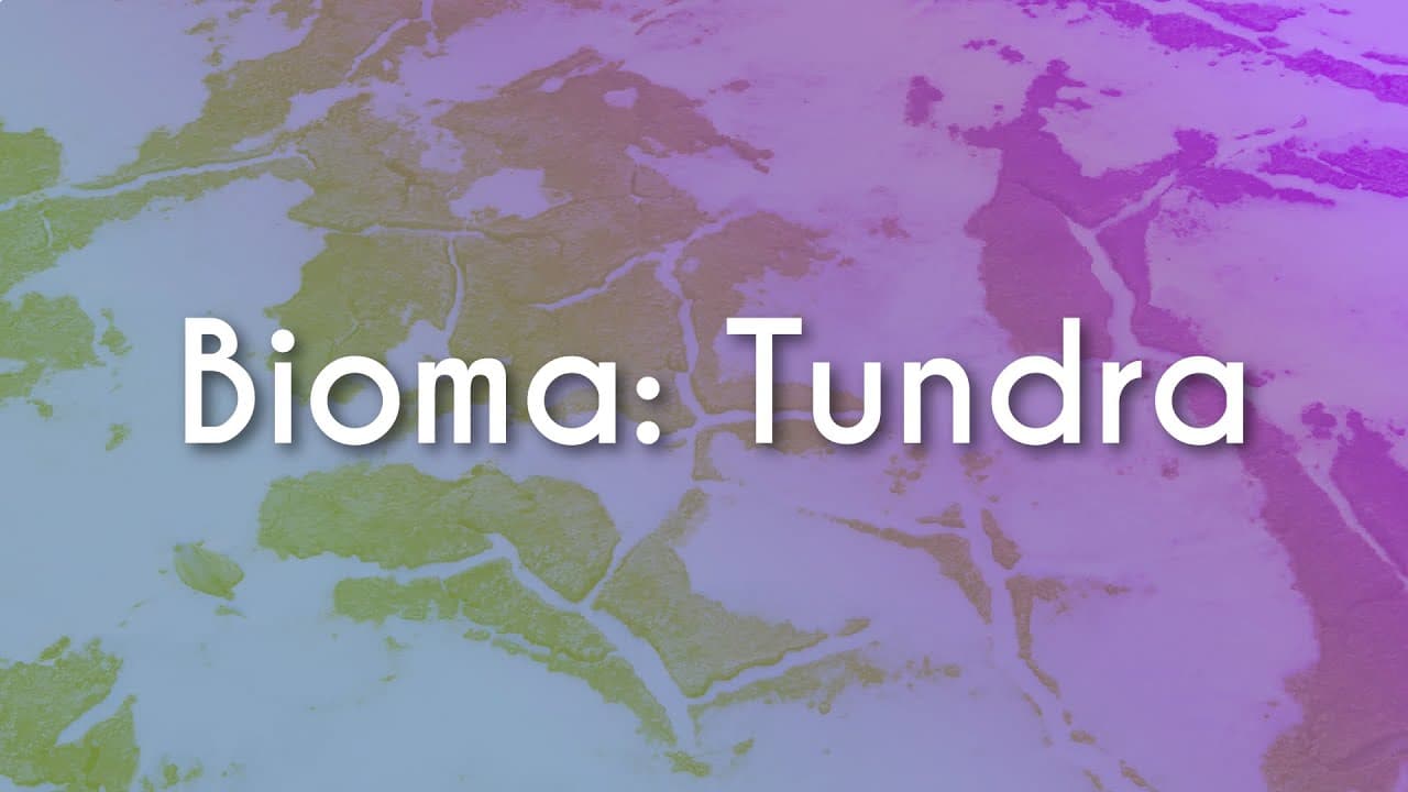 Thumbnail: Bioma: Tundra - Brasil Escola