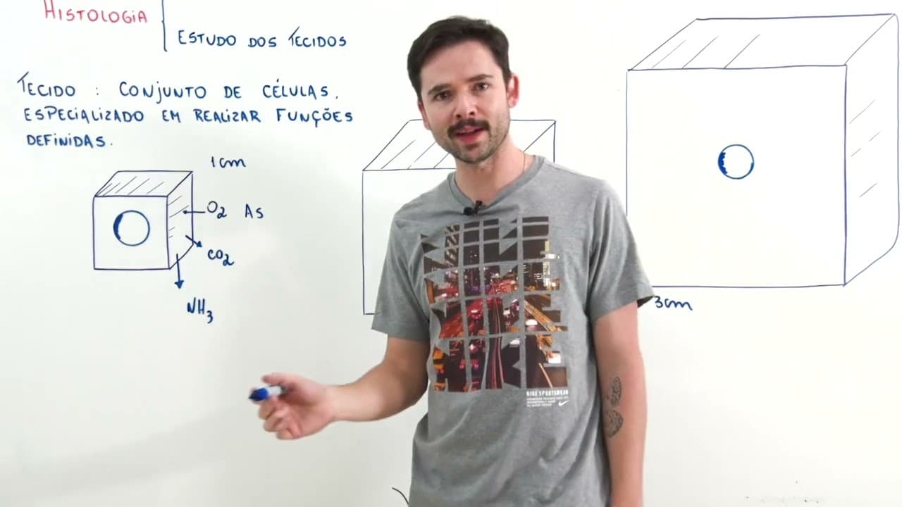 Thumbnail: É melhor ter mais de 70 trilhões de células ou uma só grande