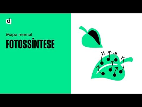 Thumbnail da aula: FOTOSSÍNTESE | BIOLOGIA | Mapa Mental | Quer Que Desenhe