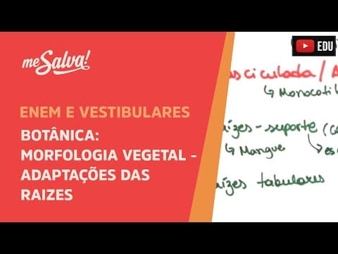 Thumbnail da aula: Me Salva! BOT38 - Botânica - Morfologia vegetal: adaptações das raizes