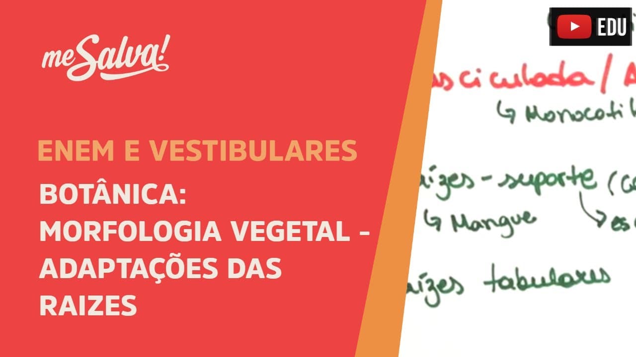 Thumbnail: Me Salva! BOT38 - Botânica - Morfologia vegetal: adaptações das raizes