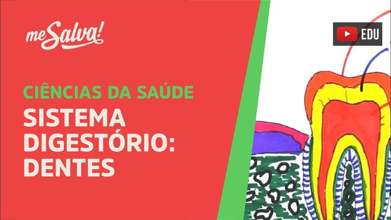 Thumbnail: Me Salva! SDIG02 - Sistema Digestório - Dentes - Histologia Humana