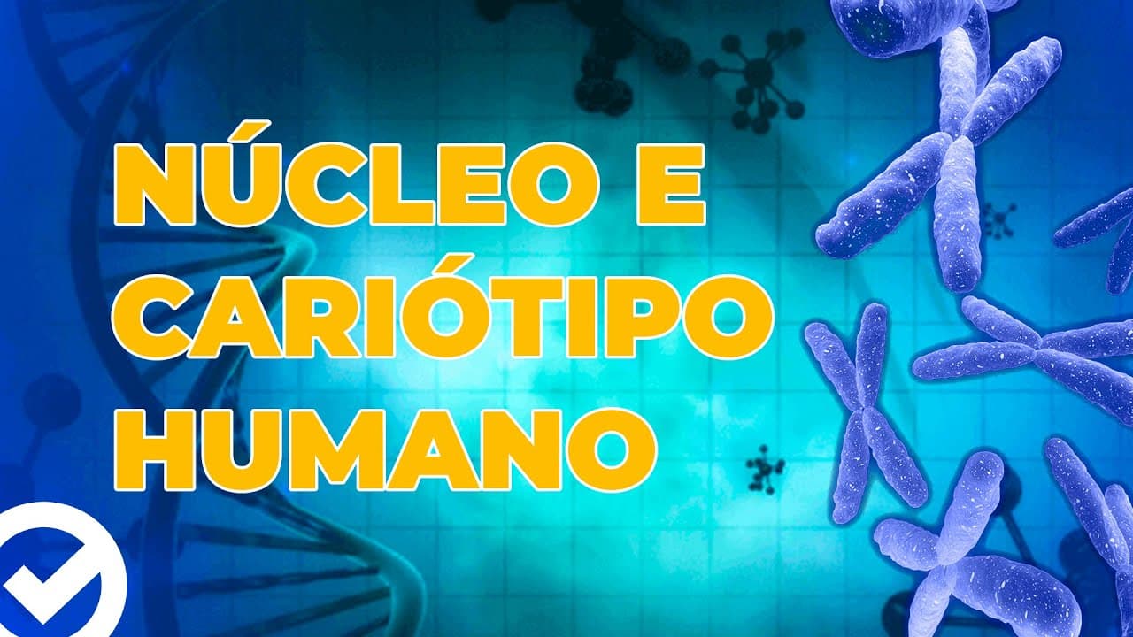 Thumbnail: Acelere no ENEM - Núcleo e Cariótipo Humano