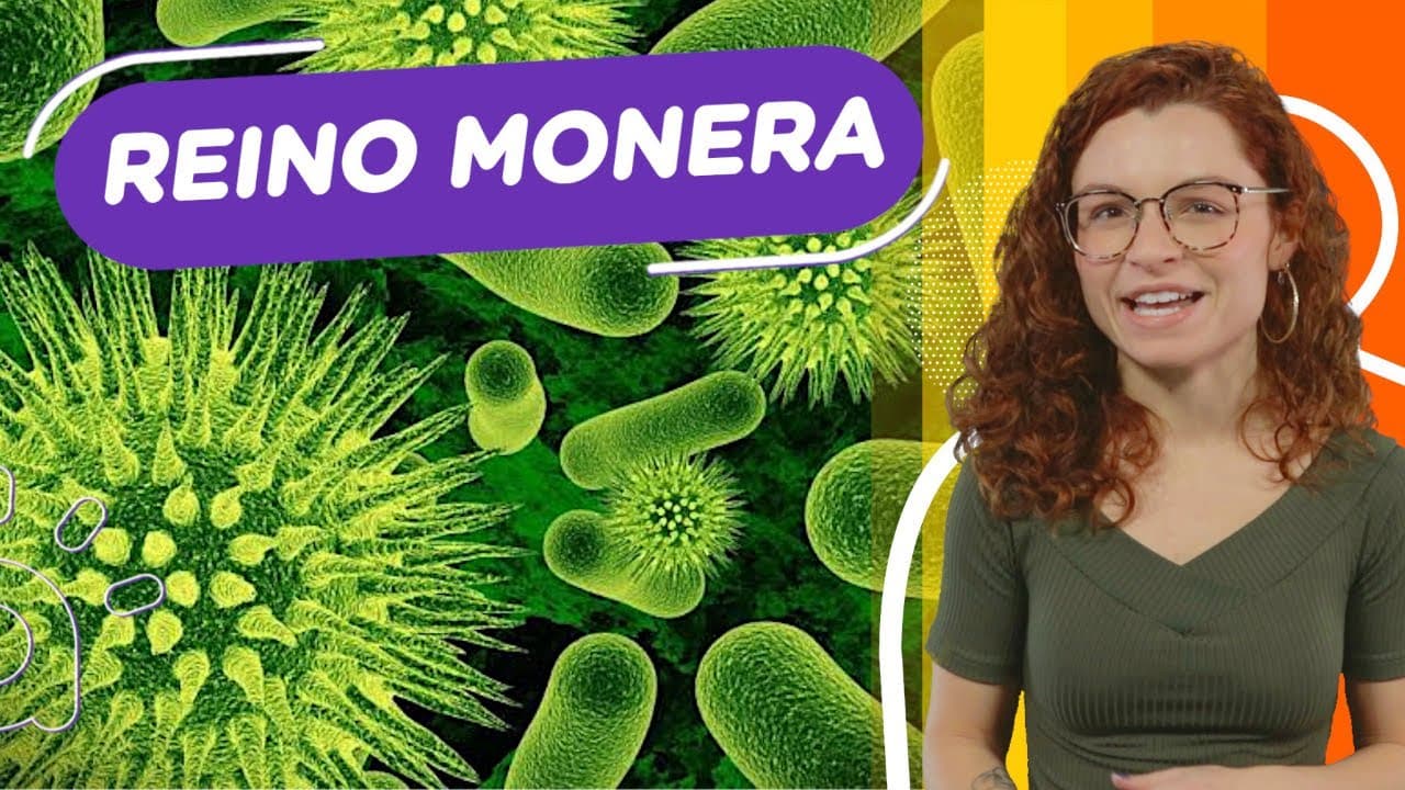 Thumbnail: Reino Monera | Archea, Bactéria e Diversidade!