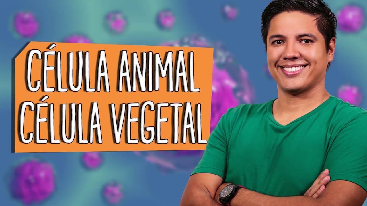 Thumbnail: CÉLULA ANIMAL e CÉLULA VEGETAL - Principais Diferenças - Prof. Kennedy Ramos