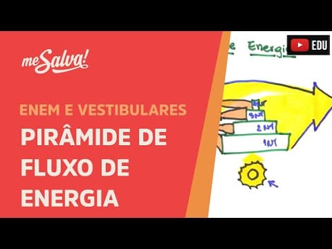 Thumbnail da aula: Me Salva! ECO18 - Ecologia - Pirâmide de fluxo de energia