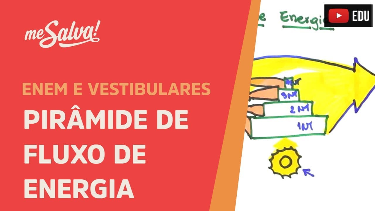 Thumbnail: Me Salva! ECO18 - Ecologia - Pirâmide de fluxo de energia