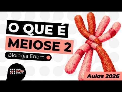 Thumbnail da aula: O QUE É MEIOSE 2 | Biologia para o Enem | Cláudia Aguiar