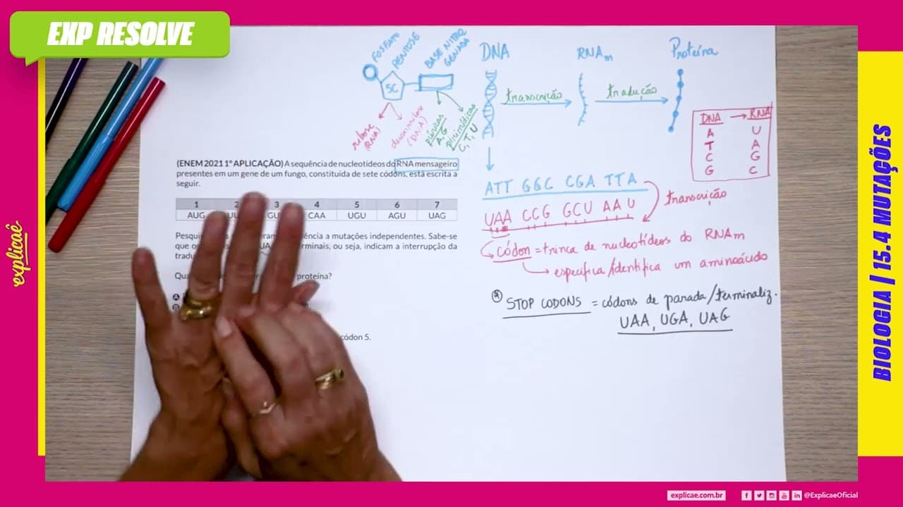 Thumbnail: A SEQUÊNCIA DE NUCLEOTÍDEOS DO RNA MENSAGEIRO PRESENTES EM UM GENE DE UM FUNGO, (...) | MUTAÇÕES