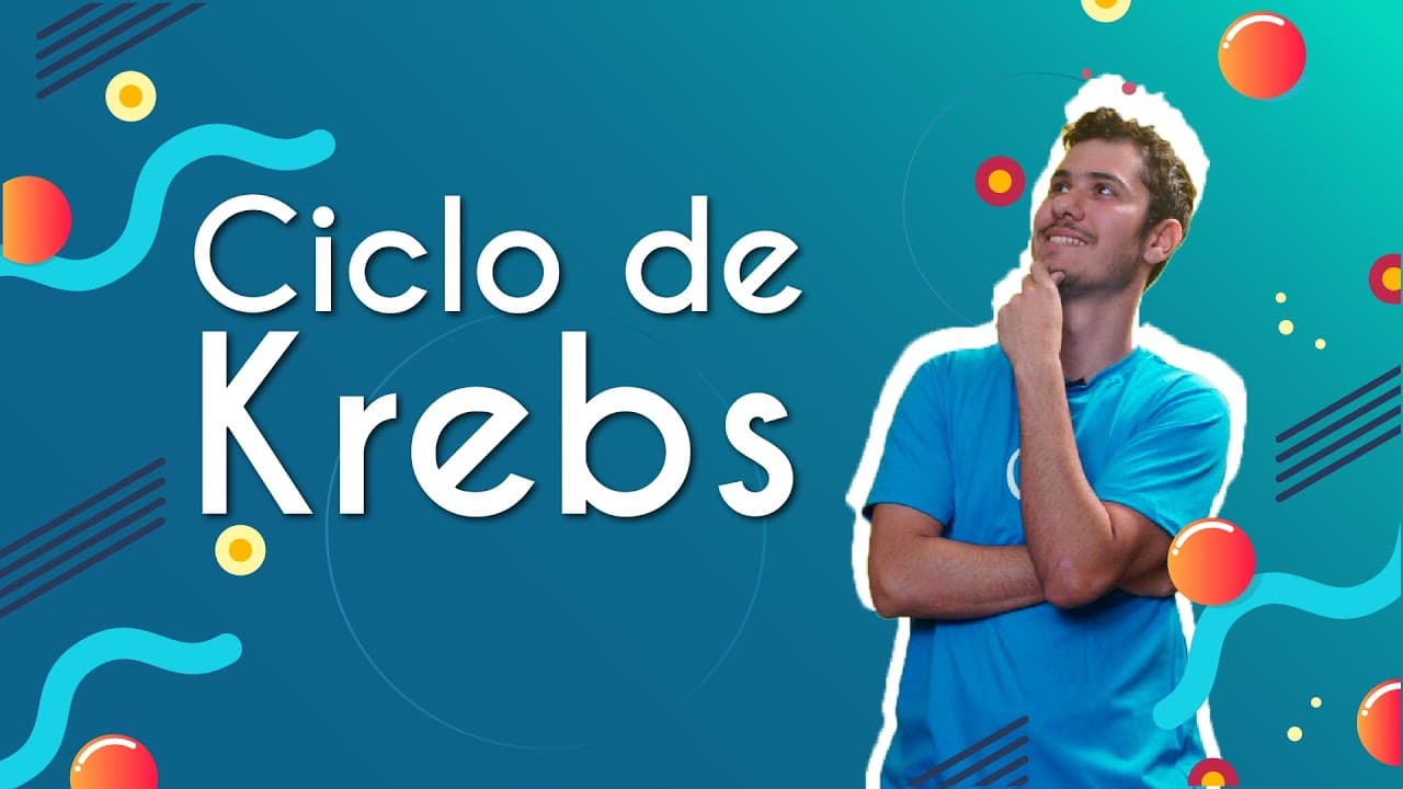 Thumbnail: Ciclo de Krebs - Brasil Escola