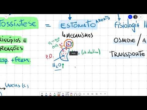 Thumbnail da aula: UNESP   REVISÃO 2ª FASE BIOLOGIA 2