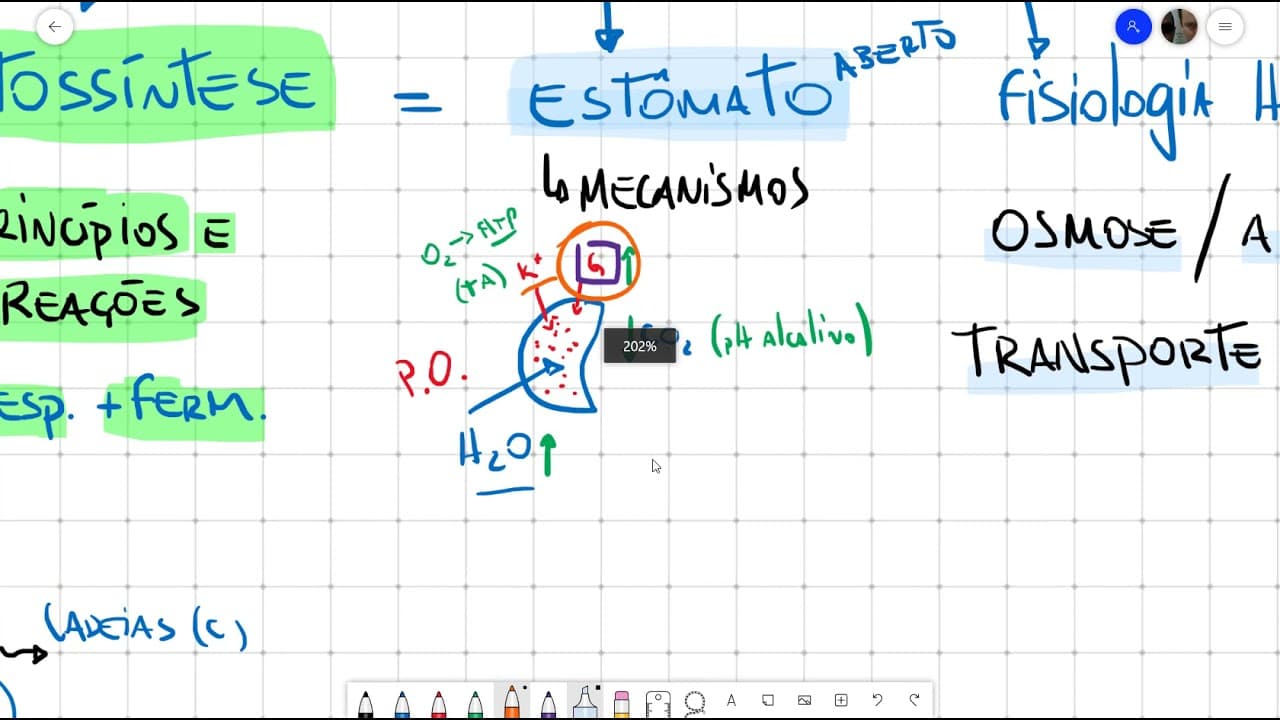 Thumbnail: UNESP   REVISÃO 2ª FASE BIOLOGIA 2