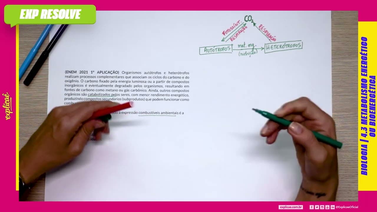 Thumbnail: ORGANISMOS AUTÓTROFOS E HETERÓTROFOS REALIZAM (...) |  METABOLISMO ENERGÉTICO OU BIOENERGÉTICA