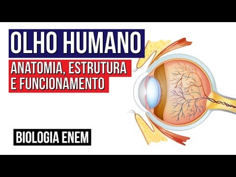 Thumbnail da aula: OLHO HUMANO: anatomia, estrutura e funcionamento | Biologia para o Enem | Cláudia de Souza Aguiar
