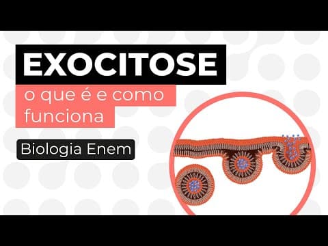 Thumbnail da aula: EXOCITOSE: o que é e como funciona | Biologia para o Enem | Cláudia de Souza Aguiar