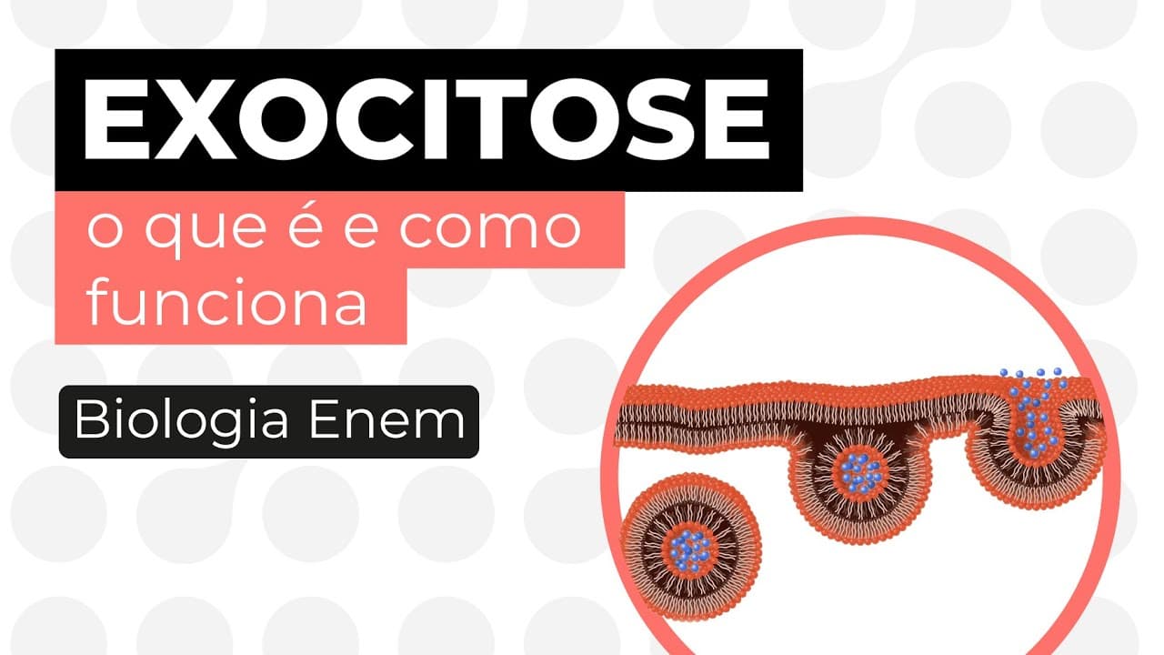 Thumbnail: EXOCITOSE: o que é e como funciona | Biologia para o Enem | Cláudia de Souza Aguiar