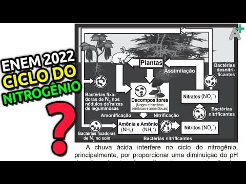 Thumbnail da aula: A CHUVA ÁCIDA interfere no CICLO do NITROGÊNIO. Questão ENEM 2022