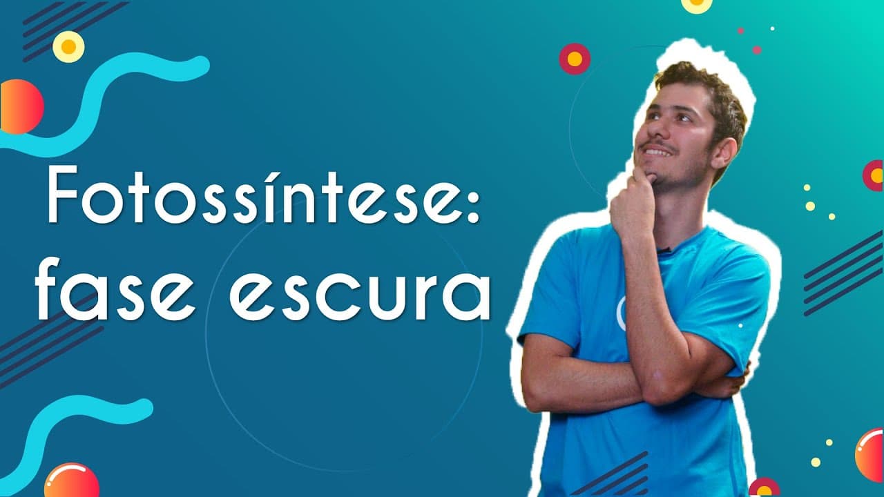 Thumbnail: Fotossíntese: fase escura - Brasil Escola