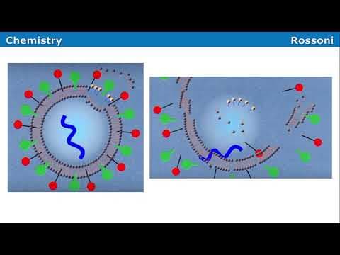 Thumbnail da aula: UFSC 2022 verão - Questão 31 - Coronavírus e surfactantes