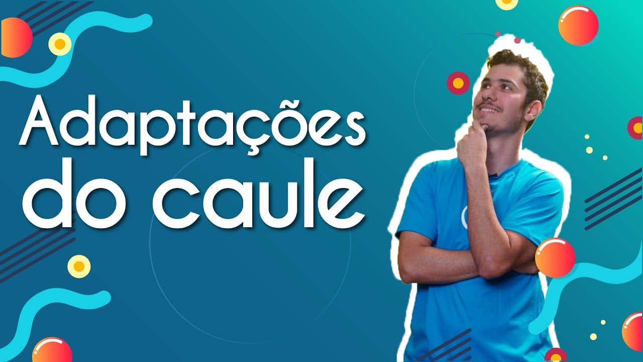 Thumbnail: Adaptações do caule - Brasil Escola
