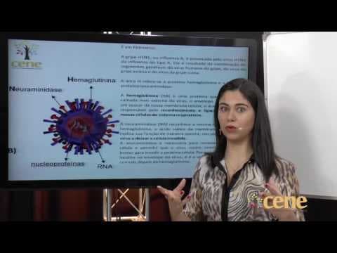 Thumbnail da aula: Correção Biologia prova UPF 2013-2 parte 1 de 2 Prof. Ayesa