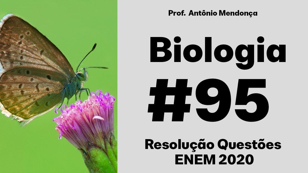 Thumbnail: ENEM 2020 - A fragmentação dos hábitats é caracterizada pela formação de ilhas da paisagem original
