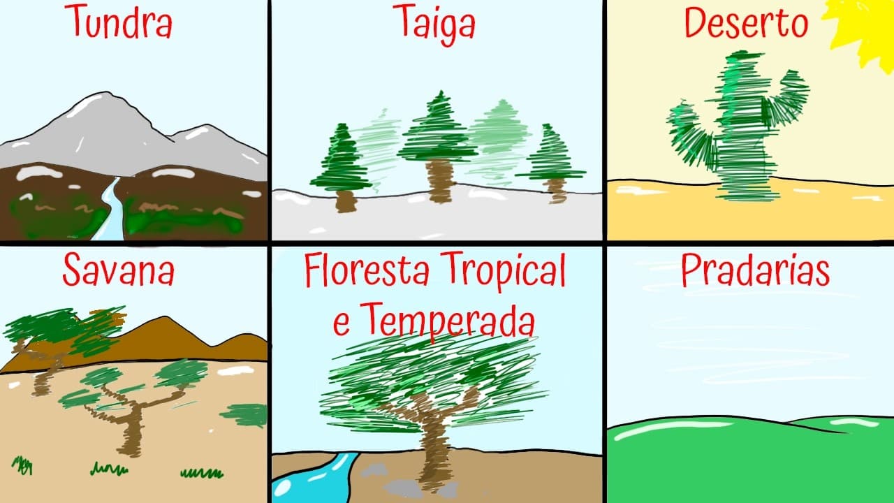 Thumbnail: Vegetações/Biomas do mundo: Floresta temperada e tropical, tundra, taiga, savana, estepe e pradaria
