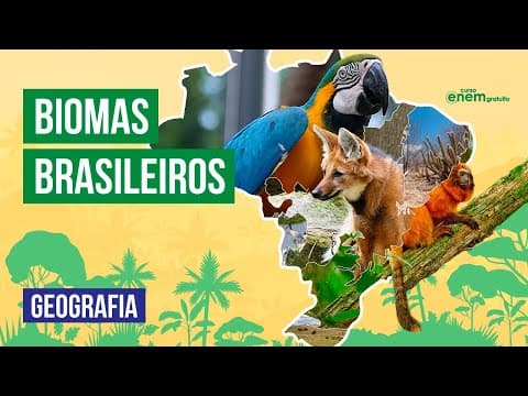 Thumbnail da aula: ZONAS DE TRANSIÇÃO DOS BIOMAS BRASILEIROS | Resumo de Geografia para o Enem | Raphael Carrieri